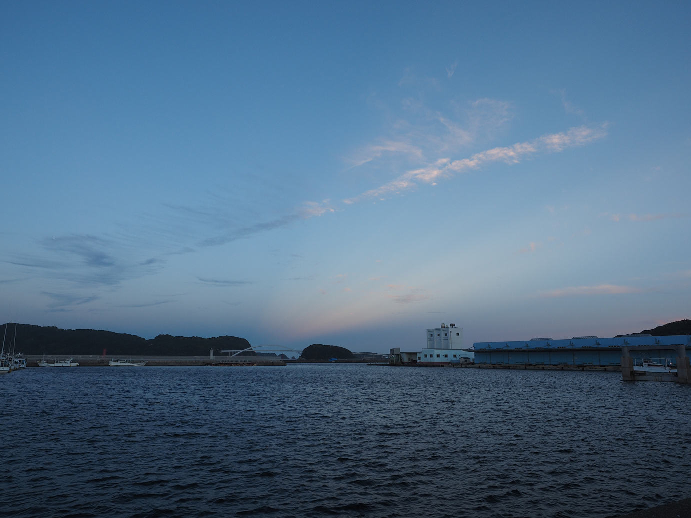P8071663.jpg