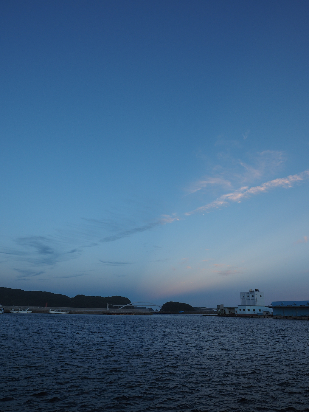 P8071664.jpg
