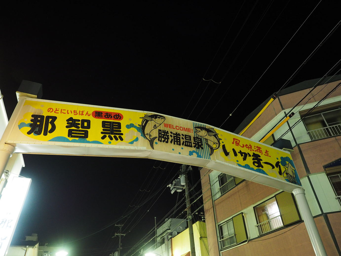 P8071684.jpg