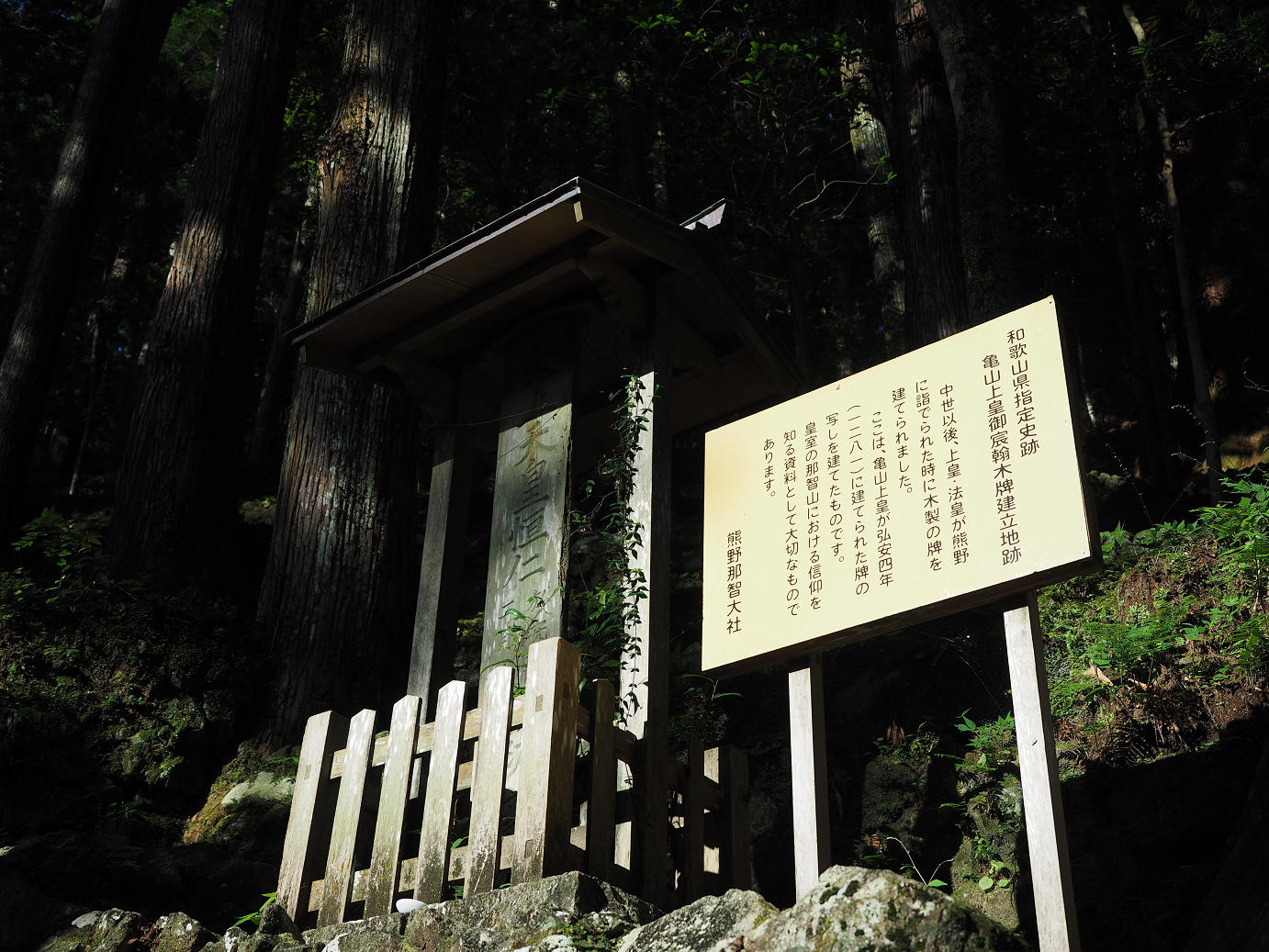 P8081890.jpg
