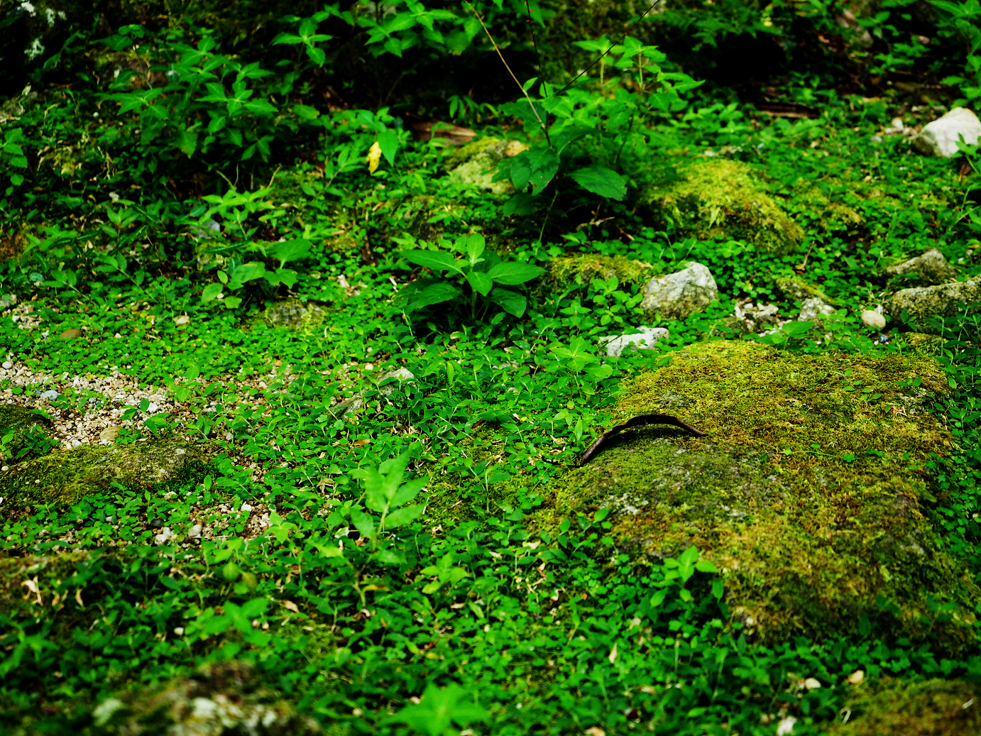 P8081895.jpg
