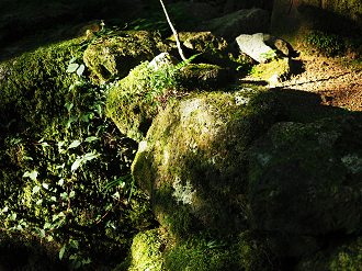 P8081896_thumb.png
