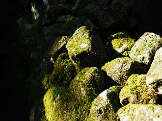 P8081898_thumb.png