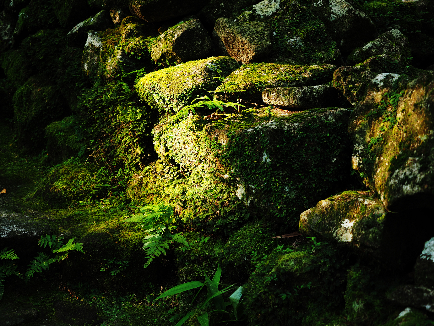 P8081899.jpg