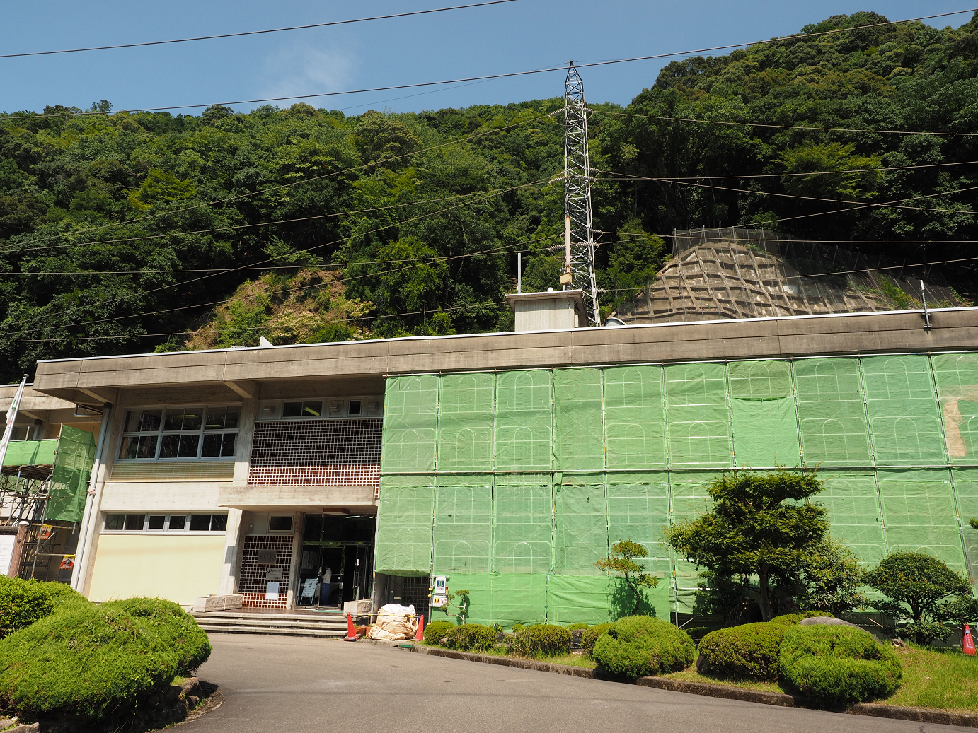 P8081925.jpg