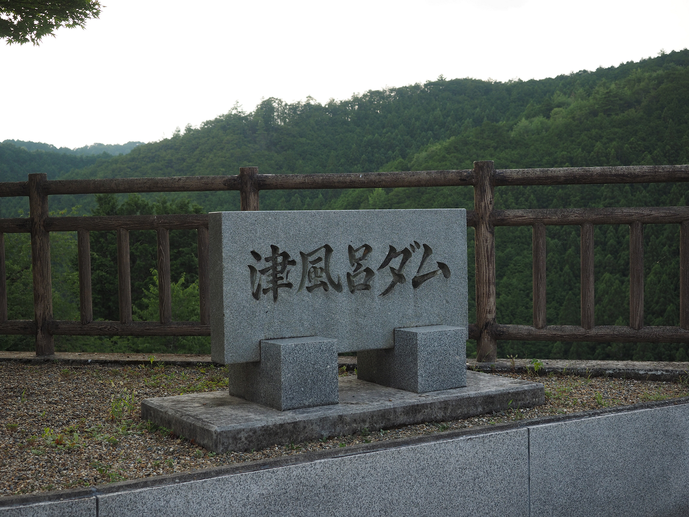 P8081985.jpg