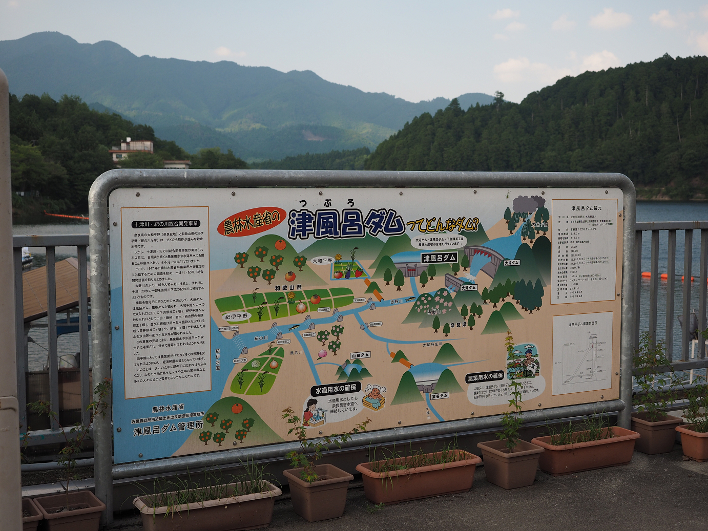 P8081987.jpg