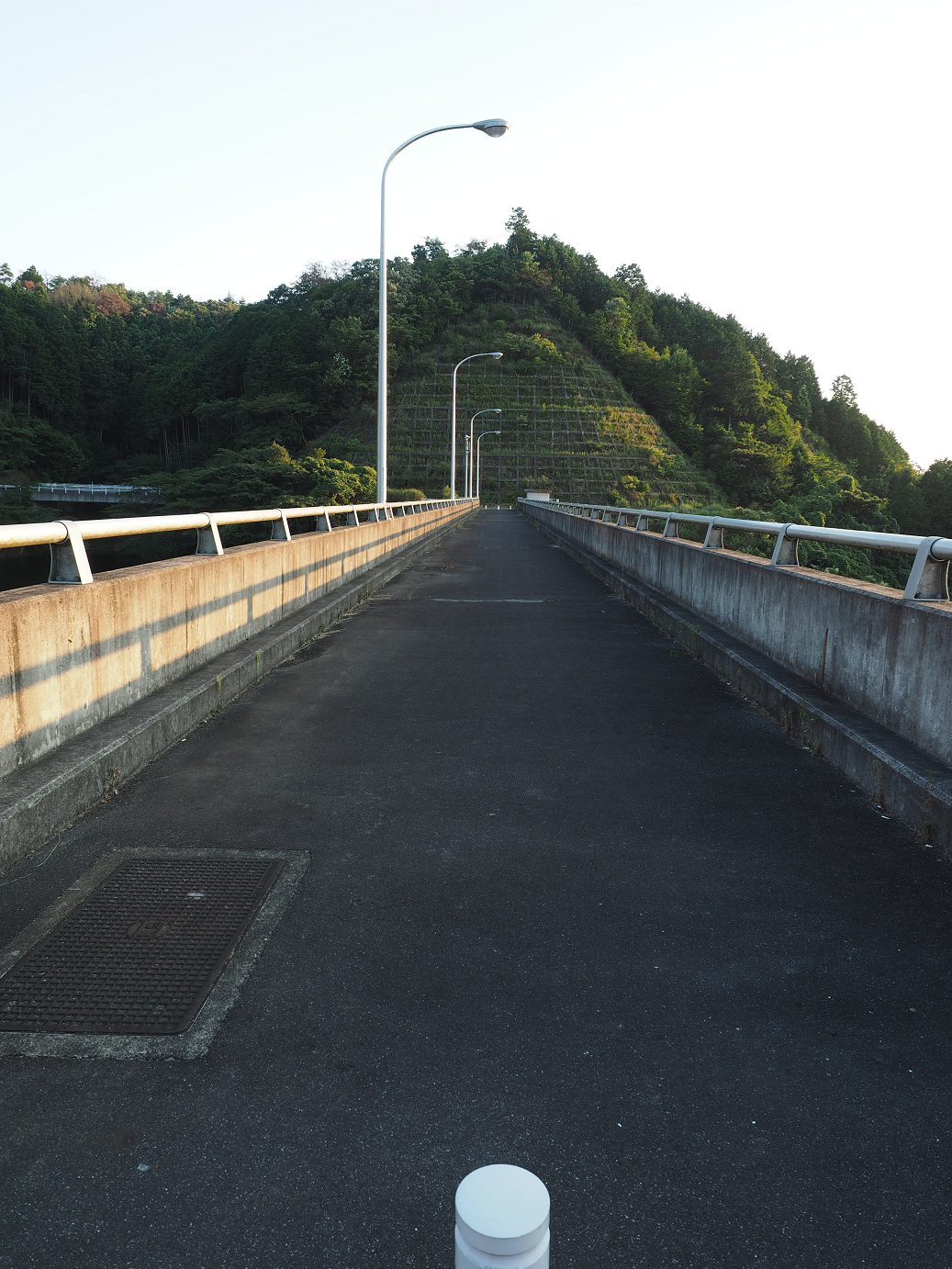 P8082020.jpg