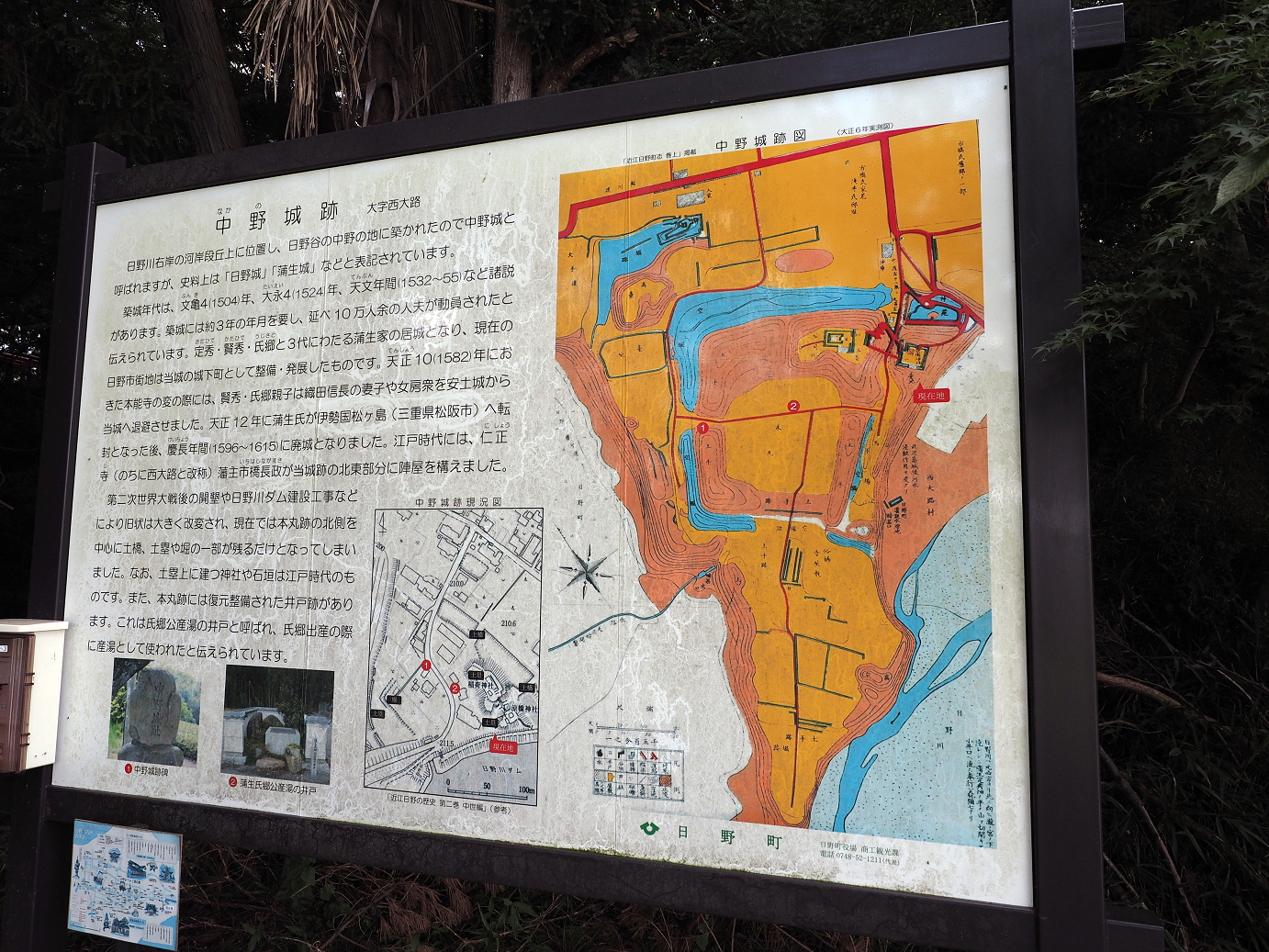 P8092081.jpg