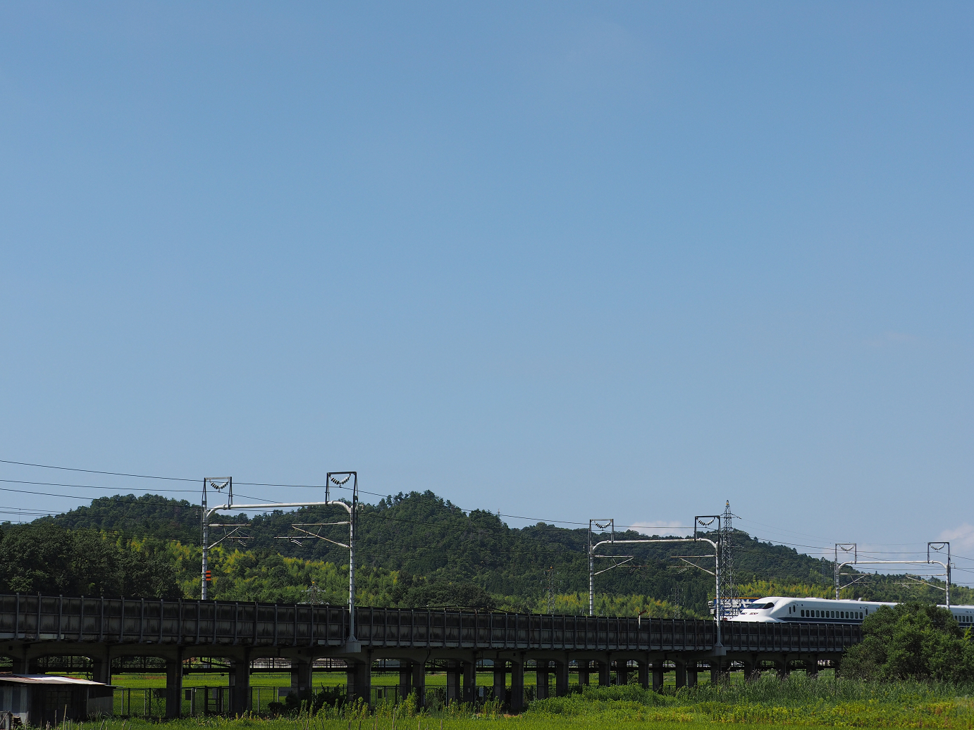 P8092221.jpg