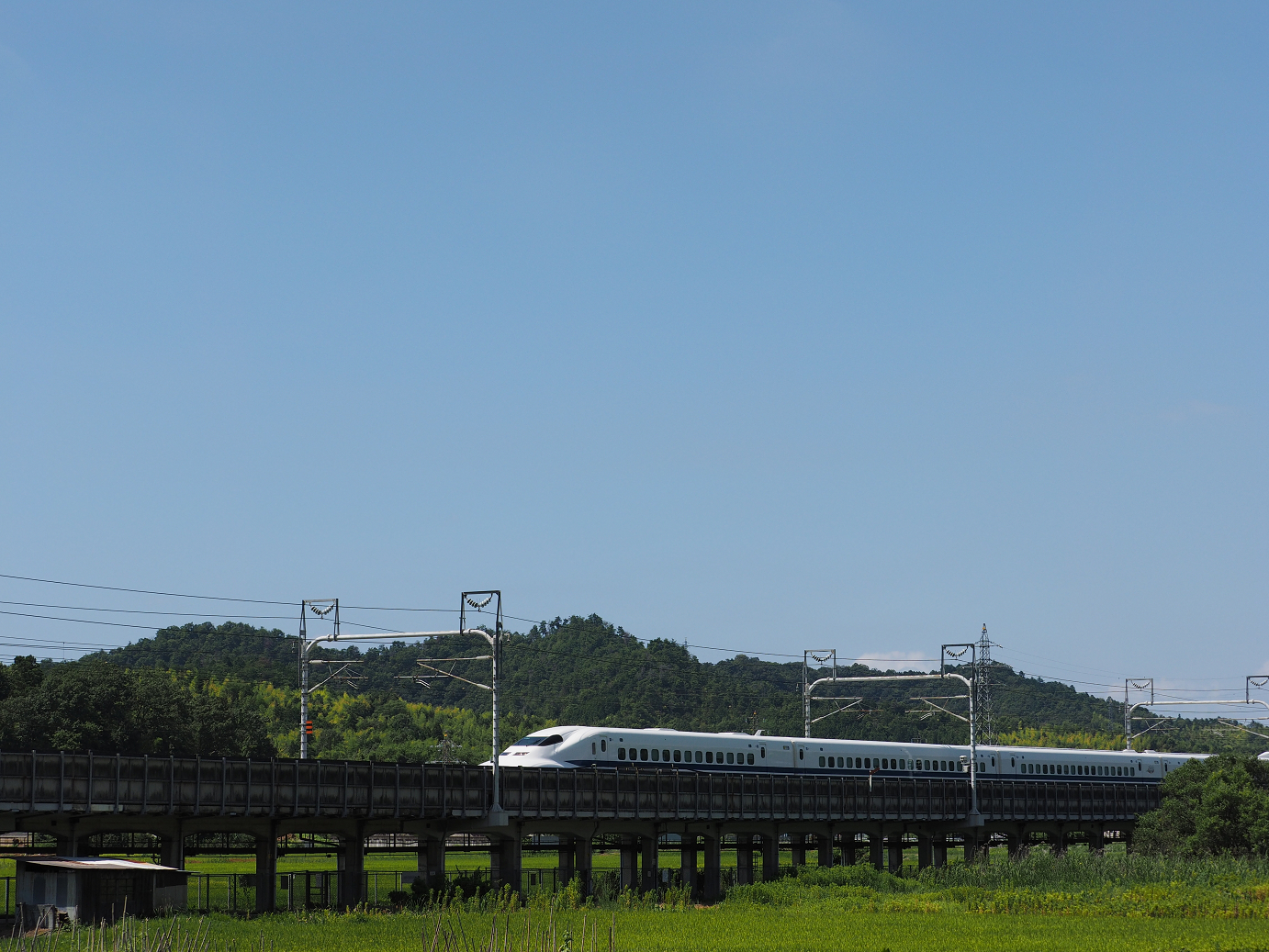 P8092229.jpg