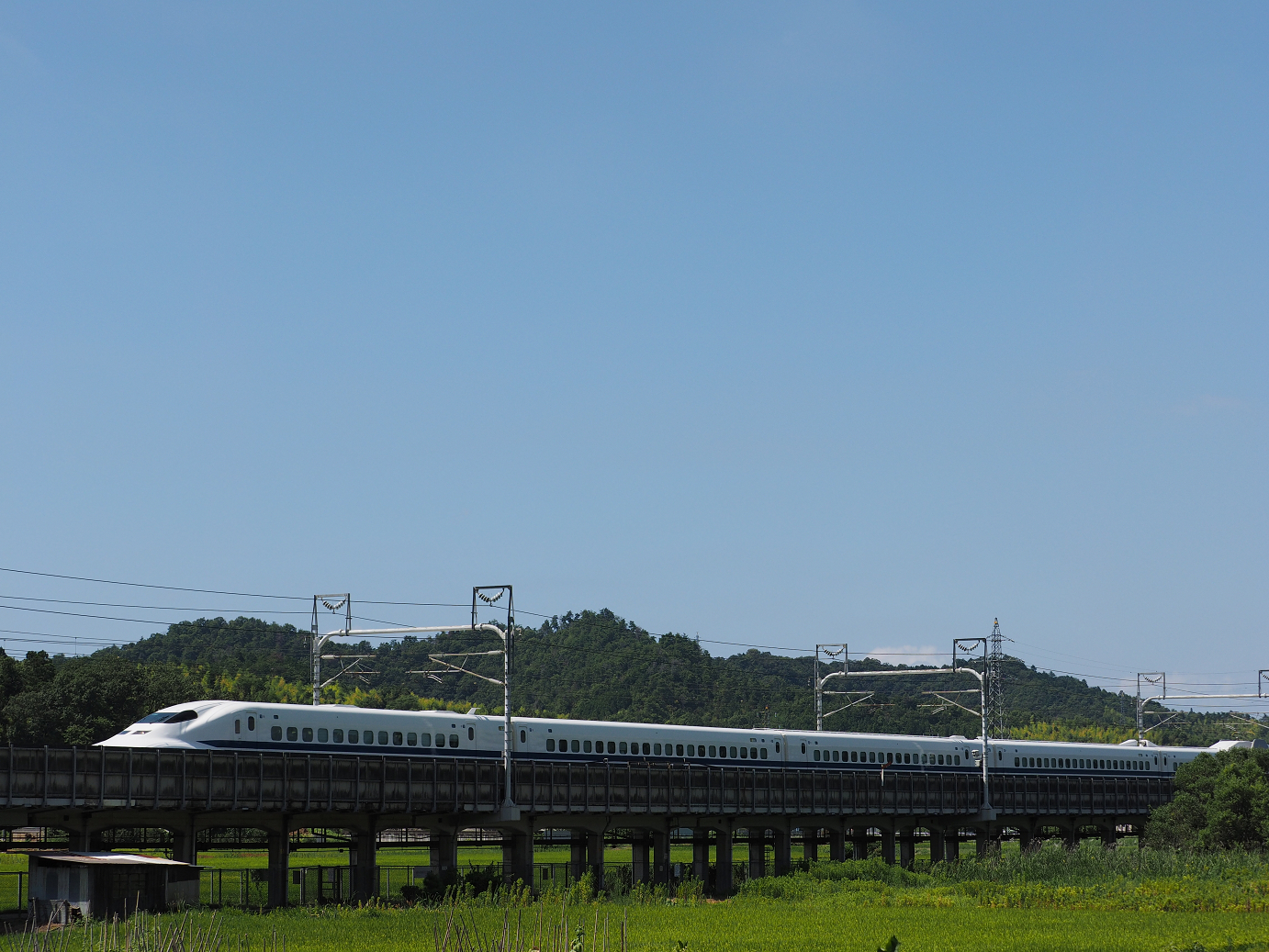 P8092233.jpg