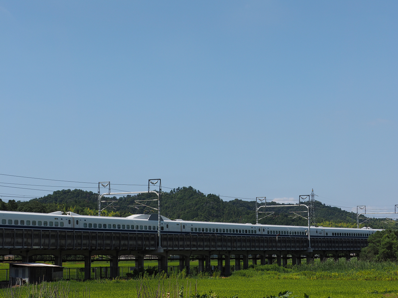 P8092247.jpg