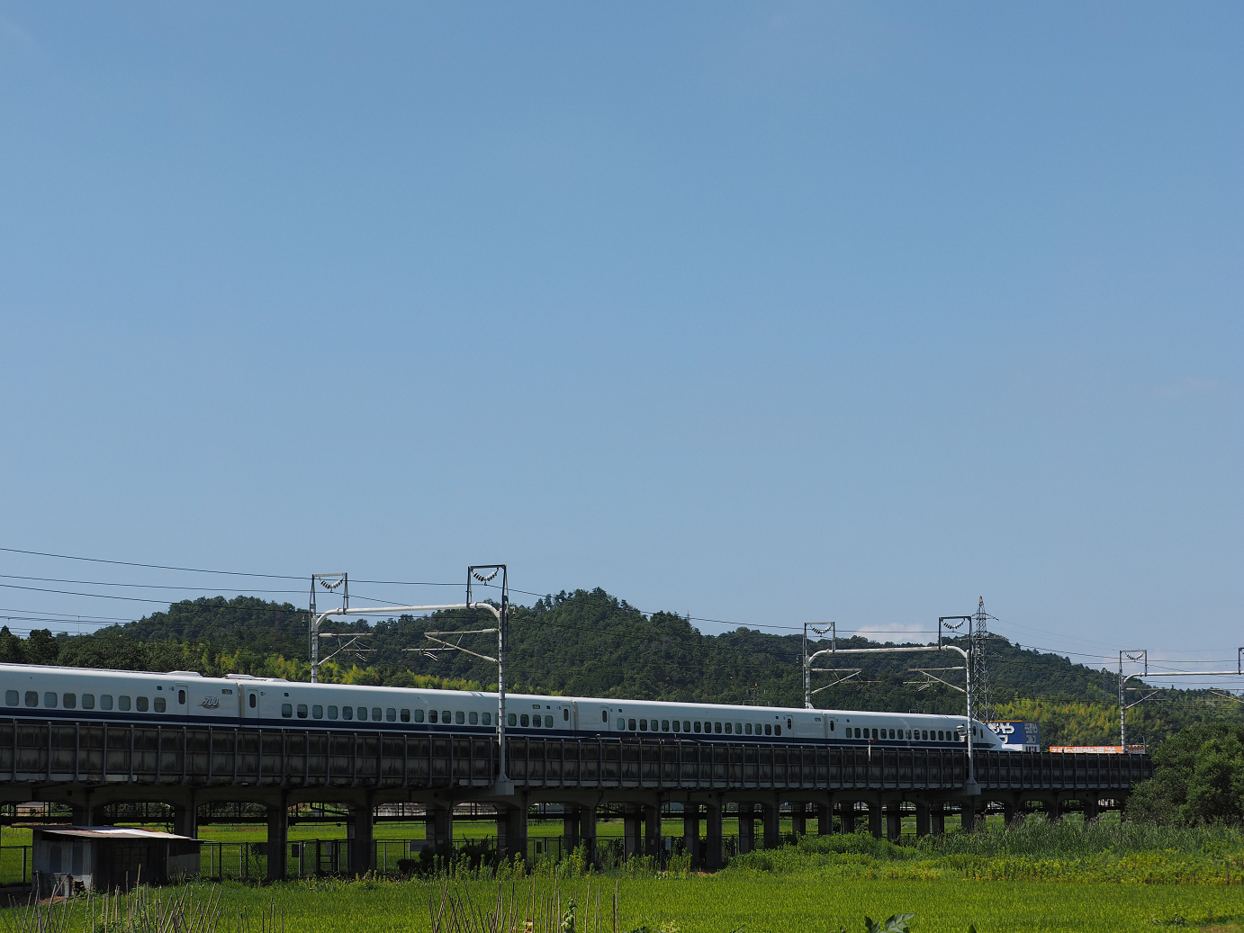 P8092252.jpg