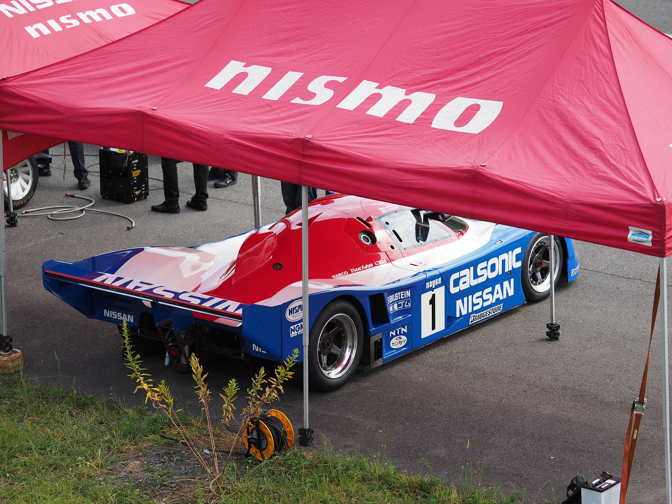 P8100005.jpg