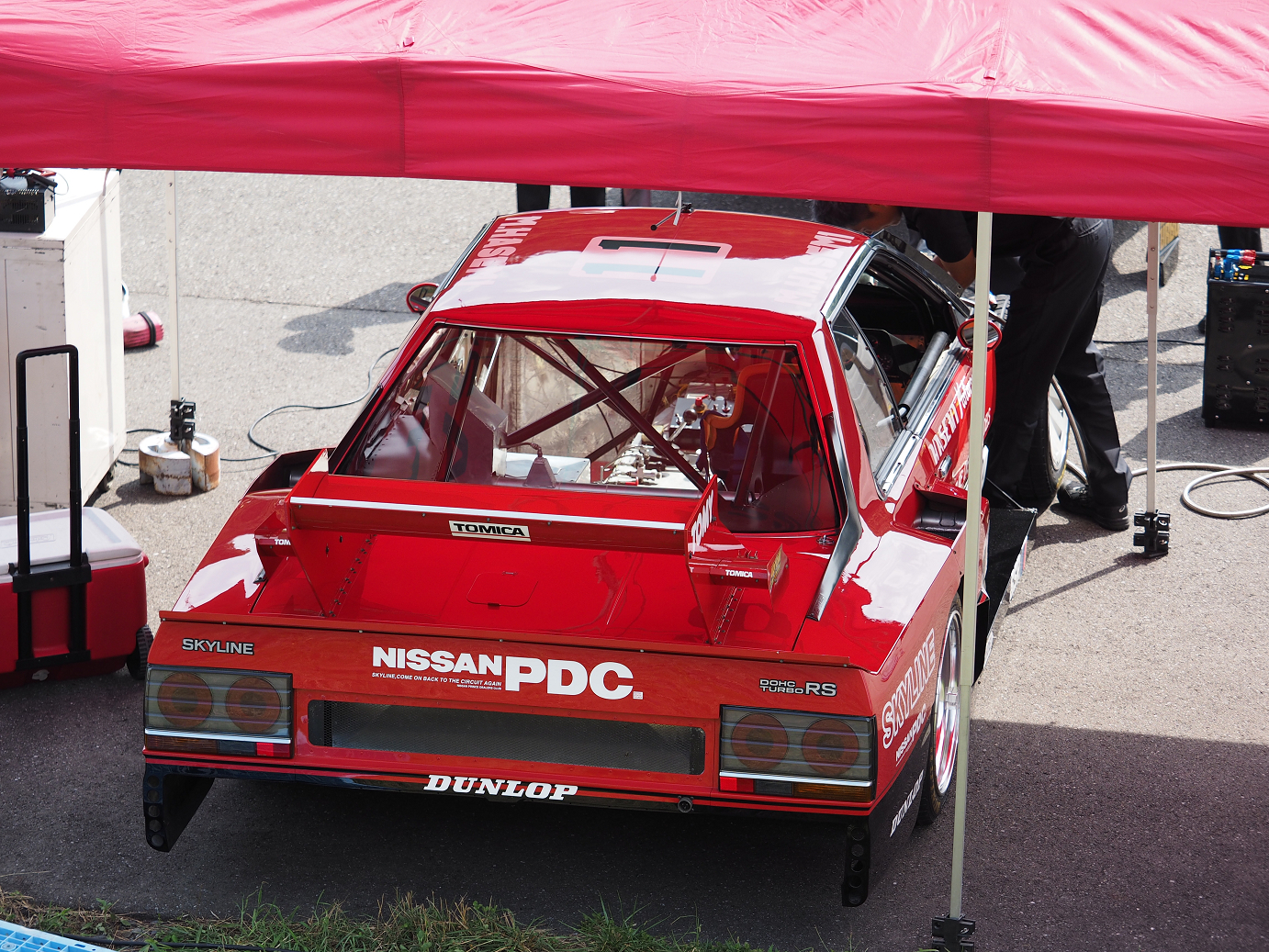 P8100011.jpg