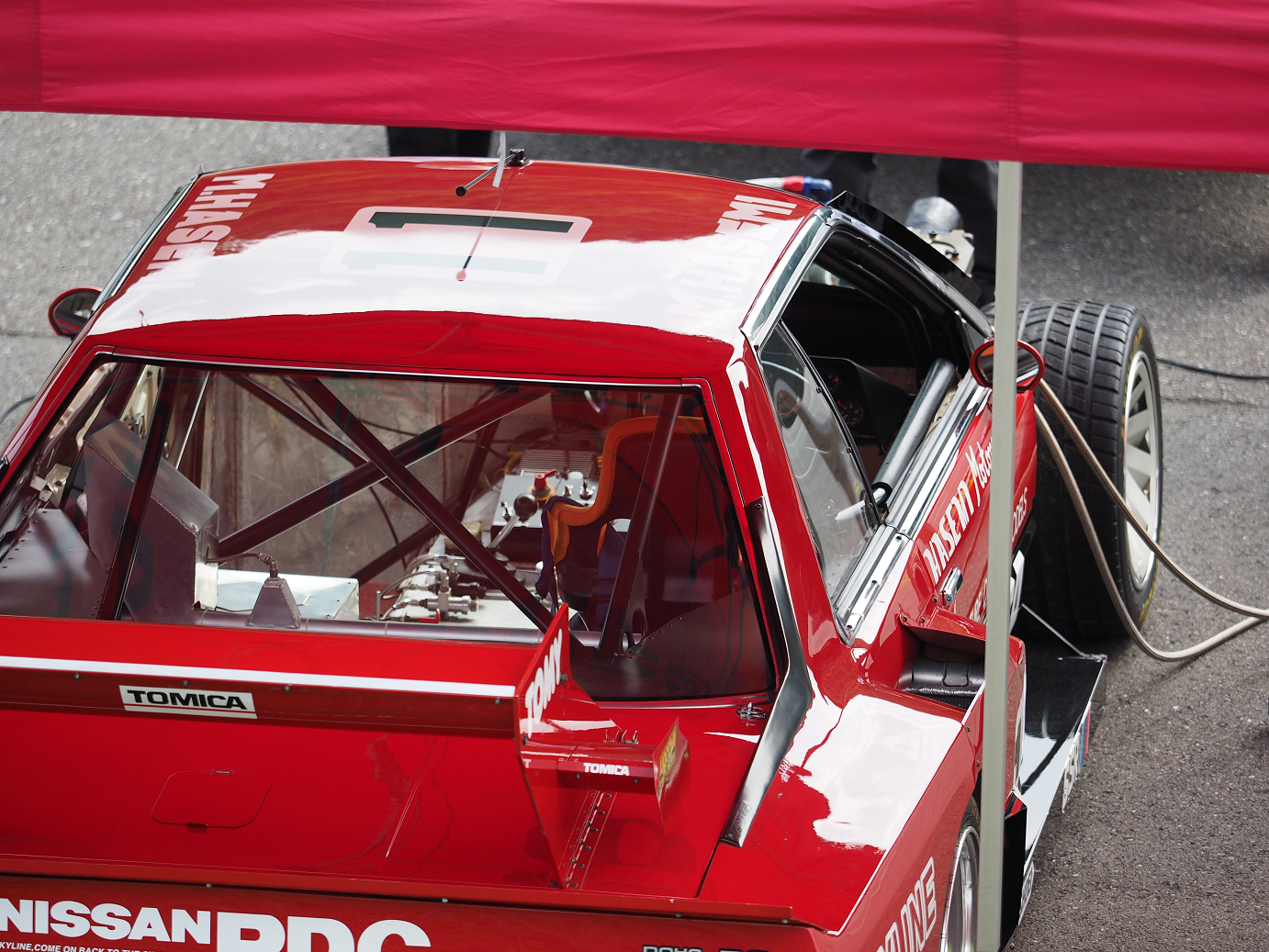 P8100014.jpg