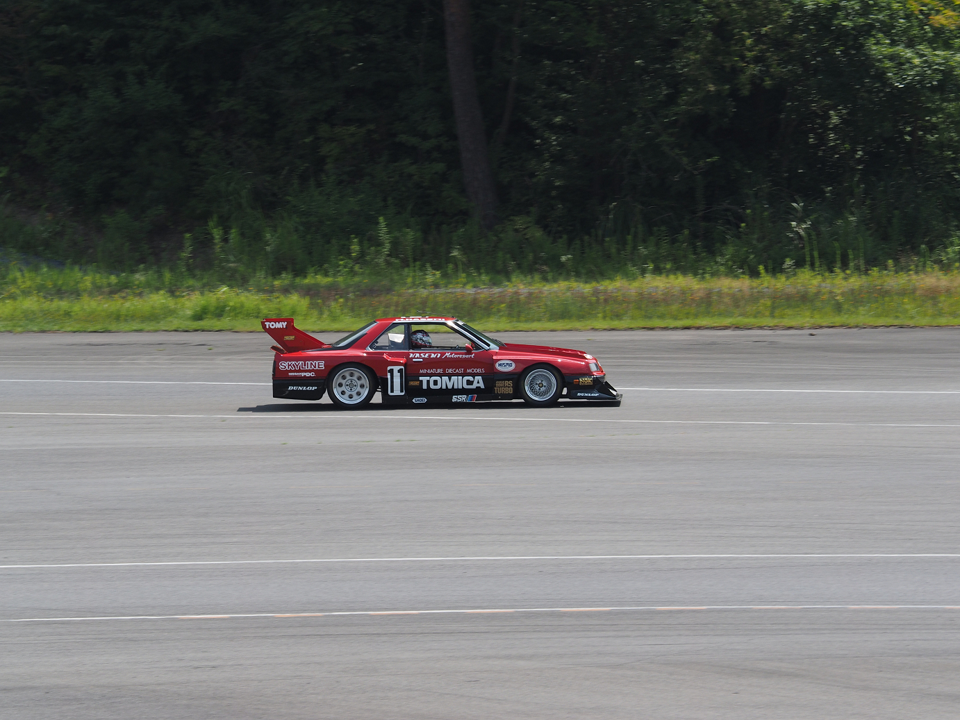 P8100146.jpg