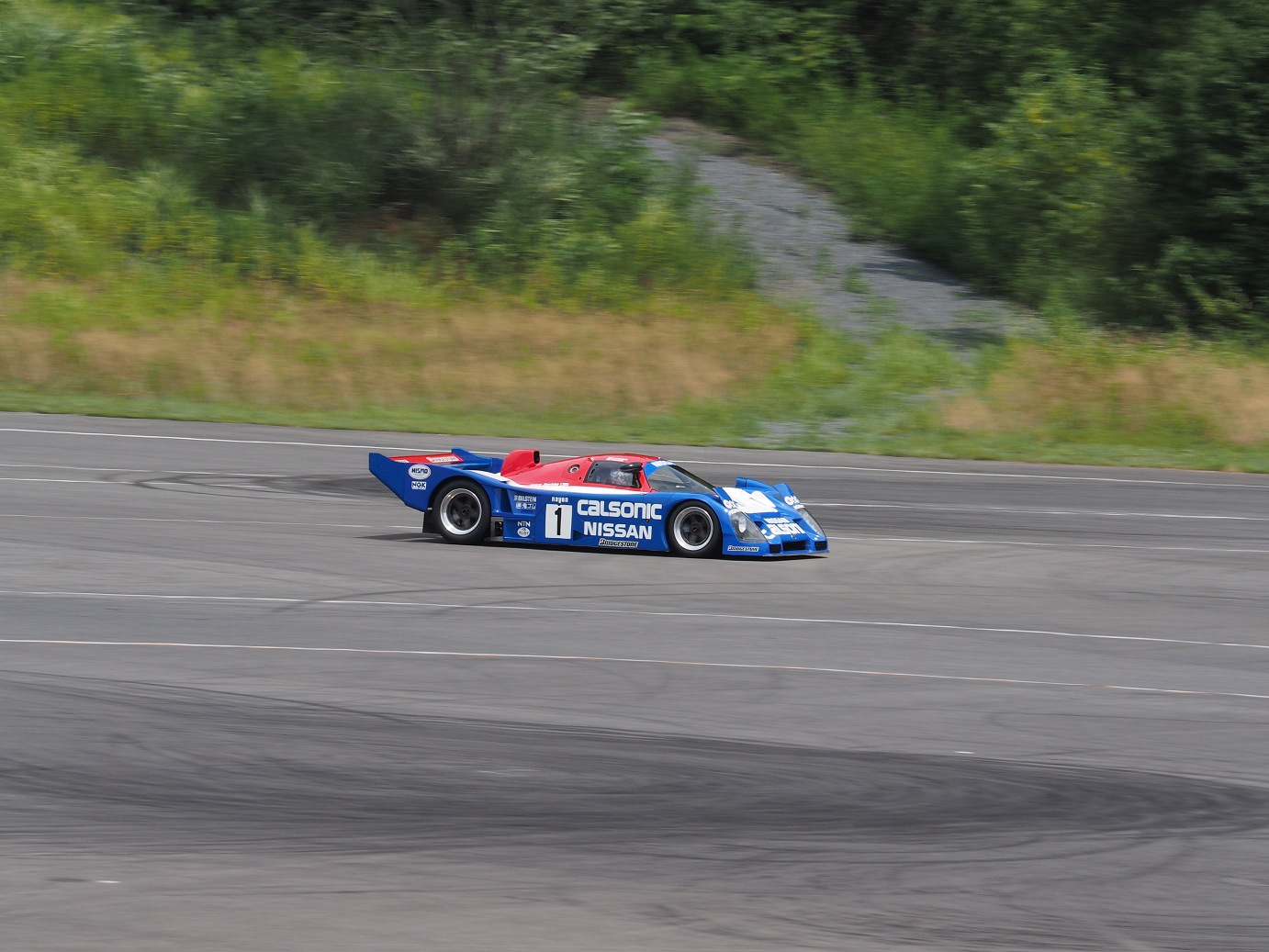 P8100641.jpg
