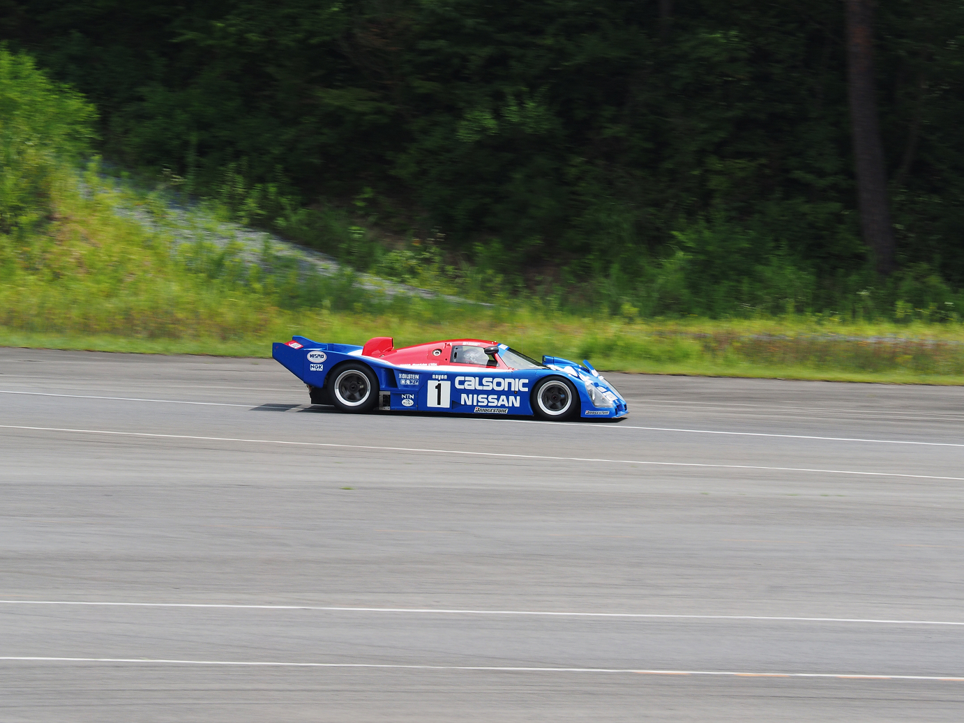 P8100658.jpg