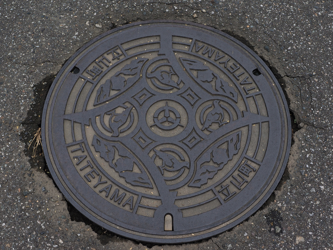 P9150002.jpg