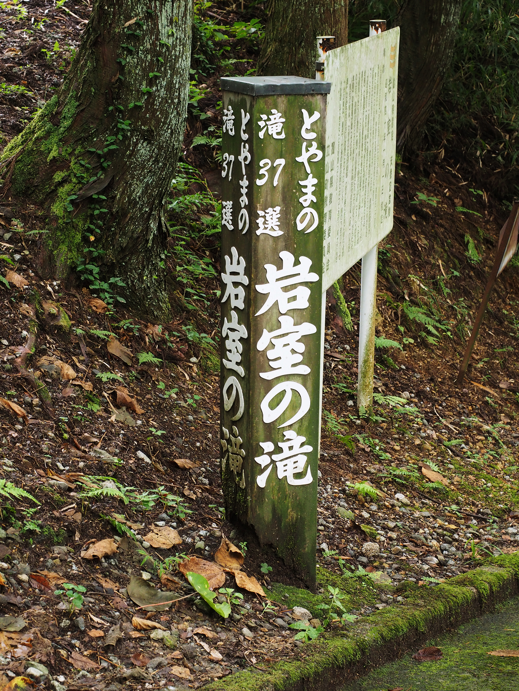 P9150004.jpg