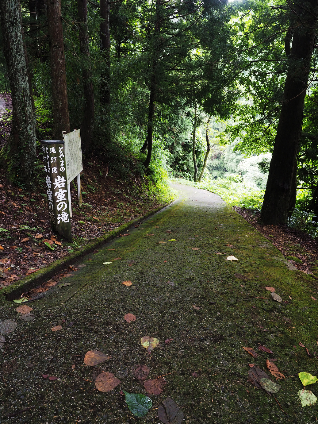 P9150005.jpg