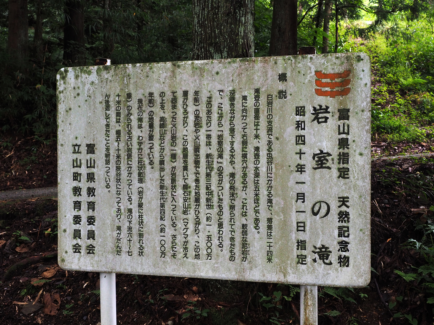 P9150007.jpg