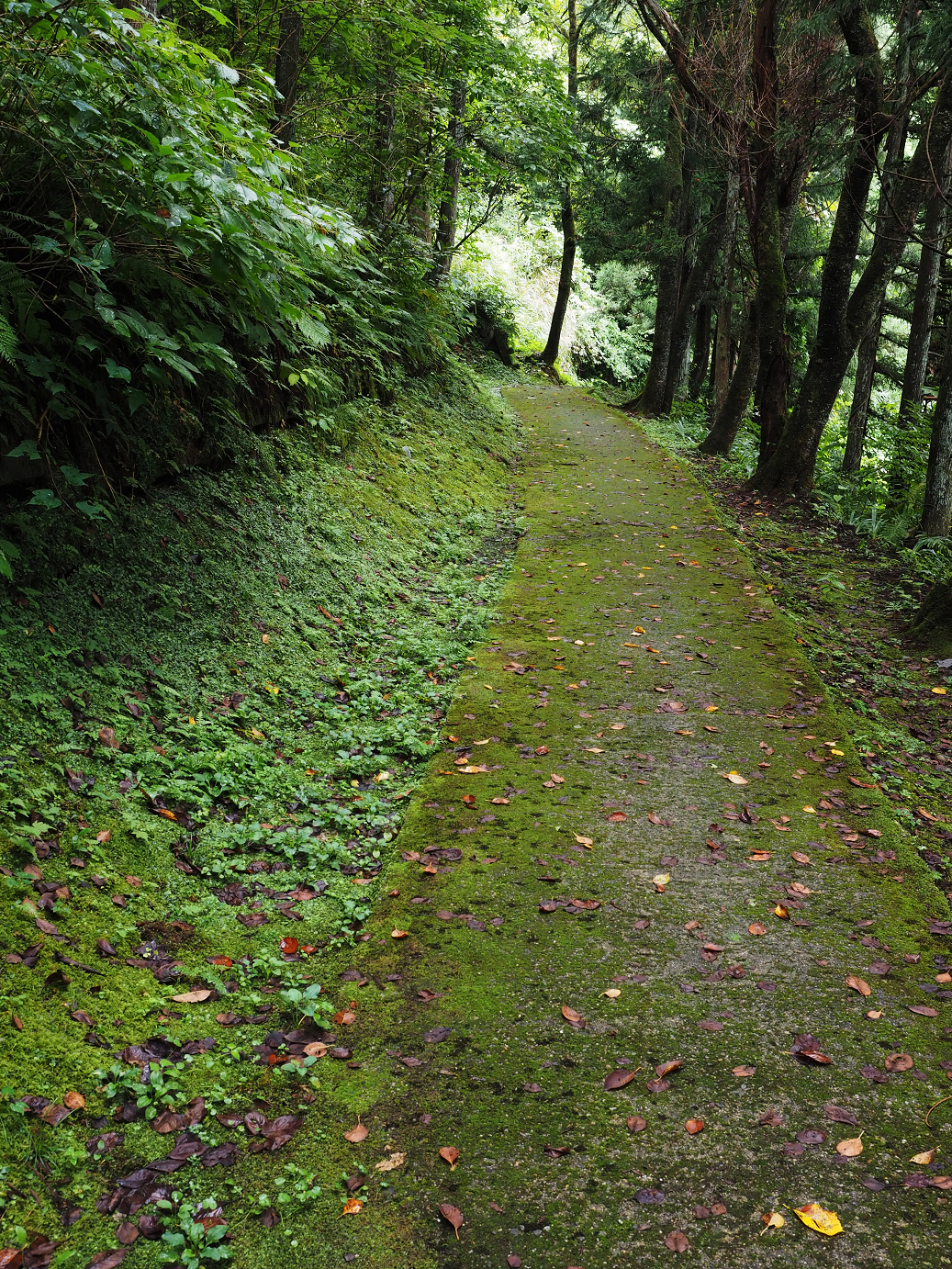 P9150009.jpg