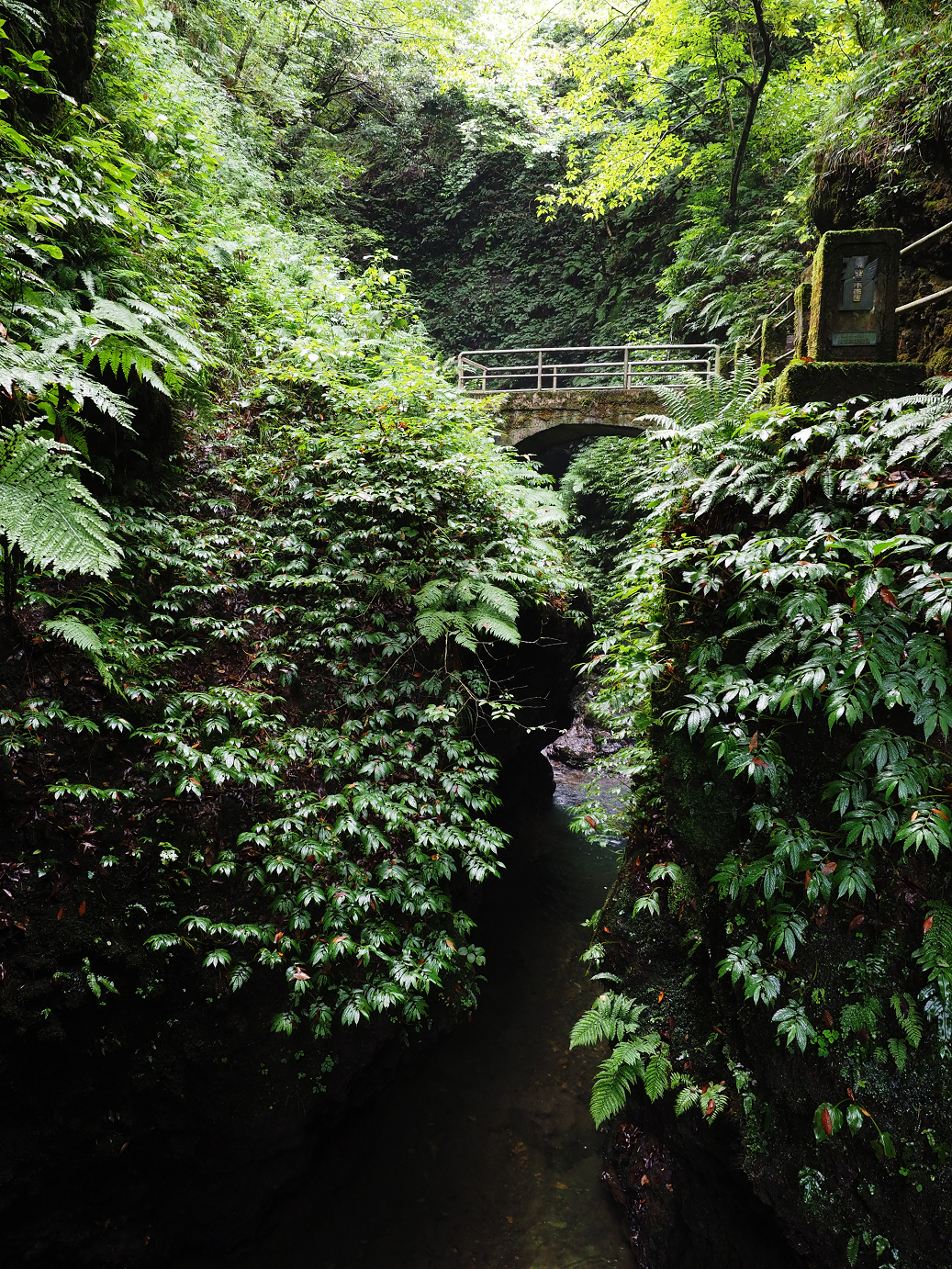 P9150010.jpg