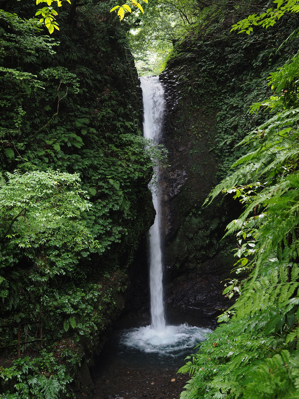 P9150013.jpg