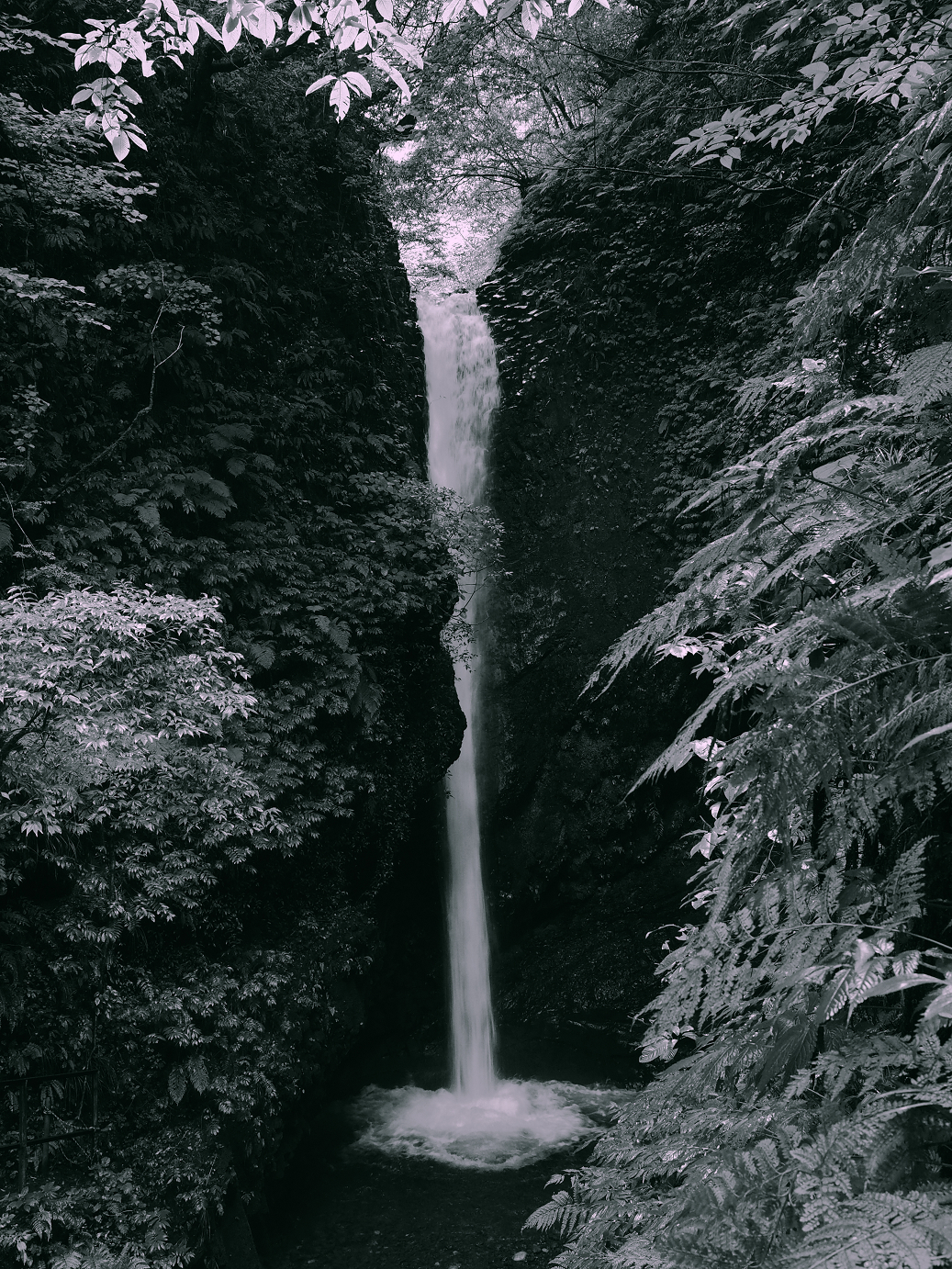 P9150015.jpg