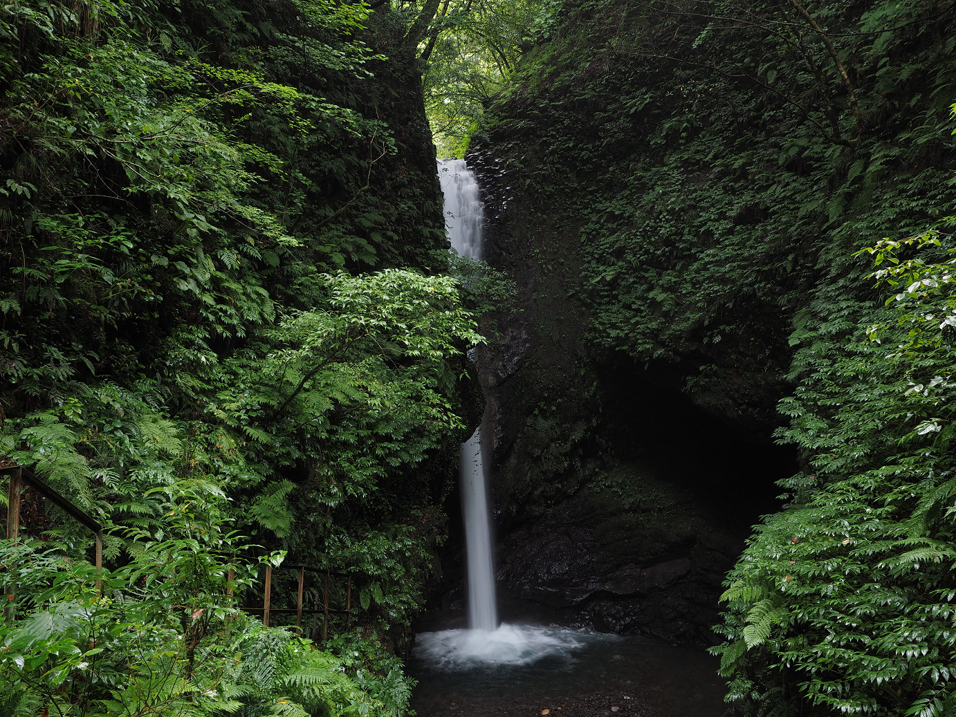 P9150028.jpg