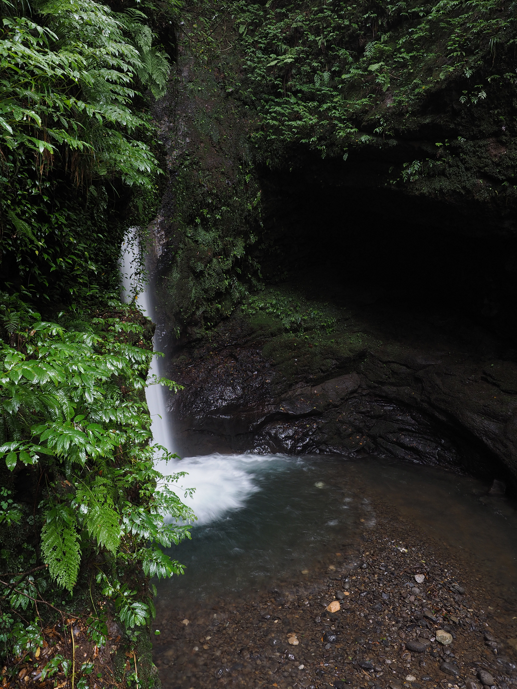 P9150030.jpg