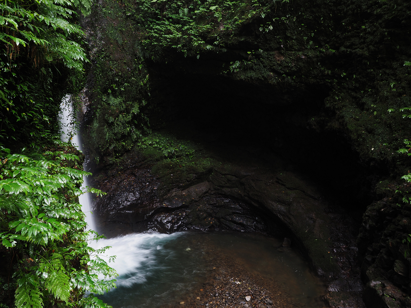 P9150031.jpg