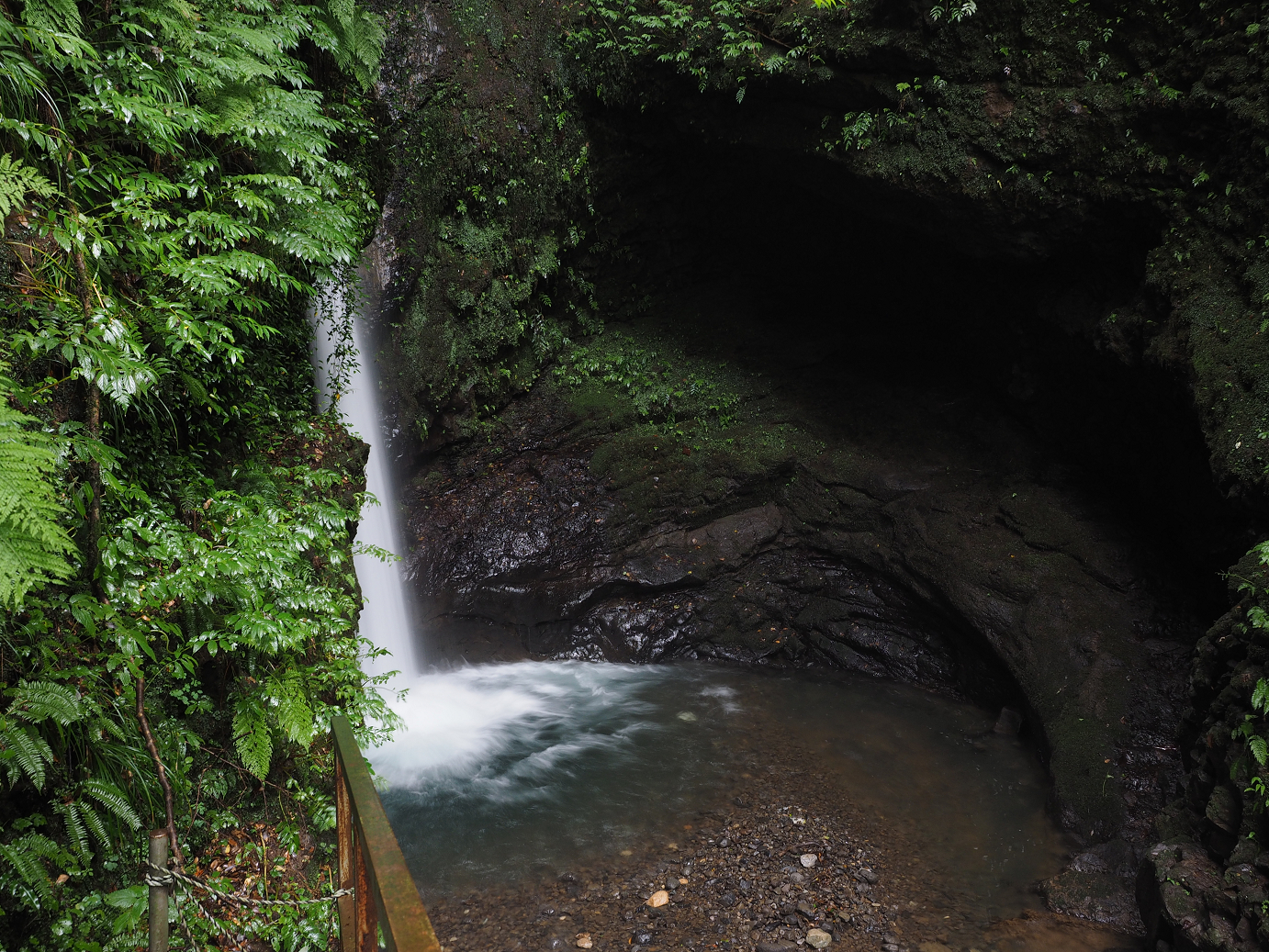 P9150035.jpg
