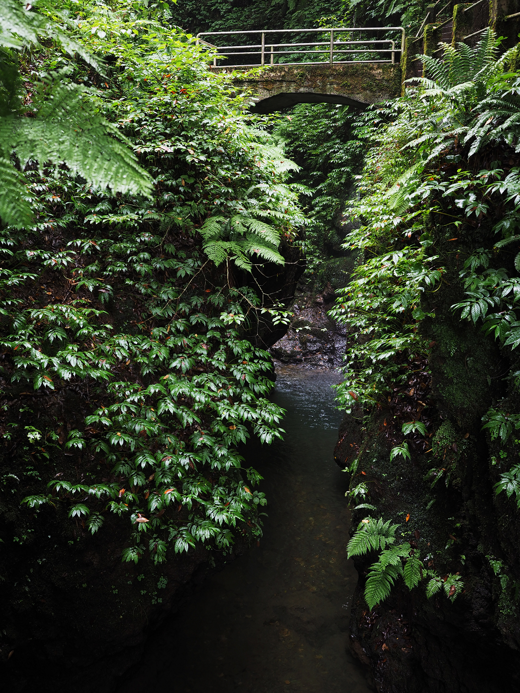 P9150043.jpg