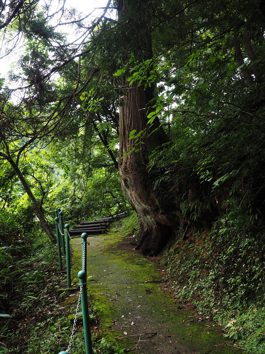 P9150044.jpg