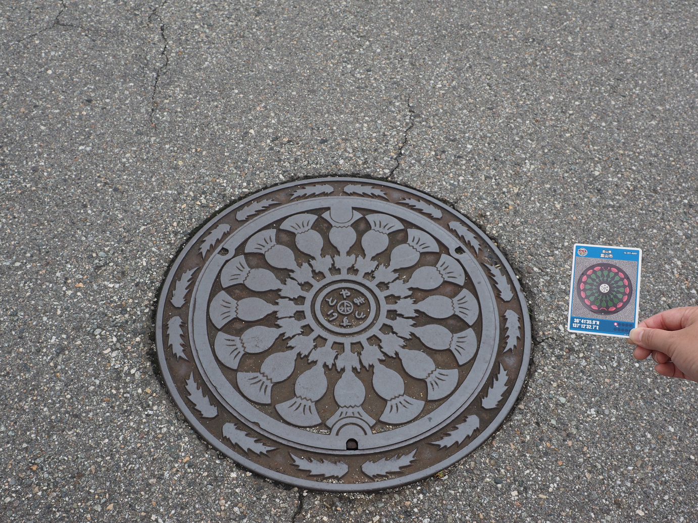 P9150049.jpg