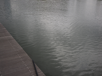 P9150057_thumb.png