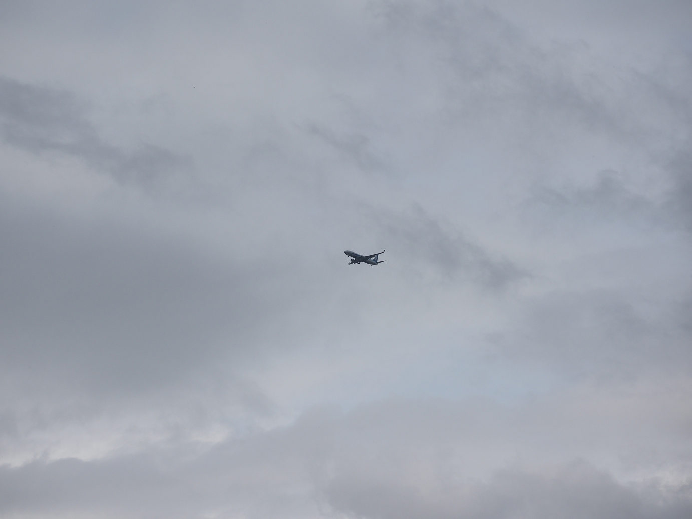 P9150065.jpg