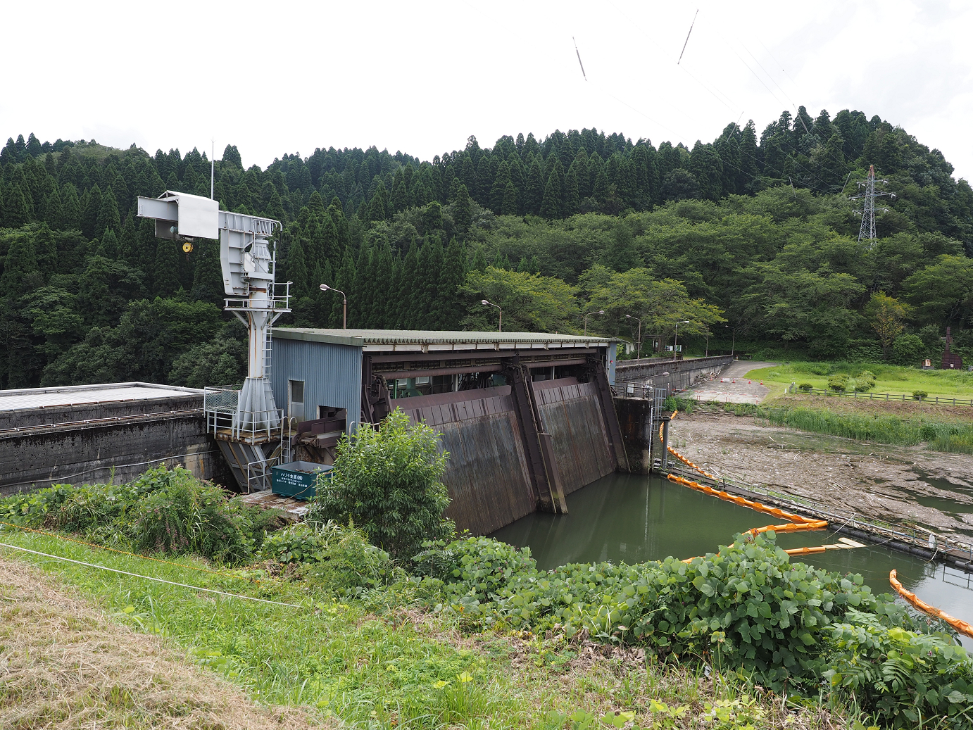 P9150071.jpg