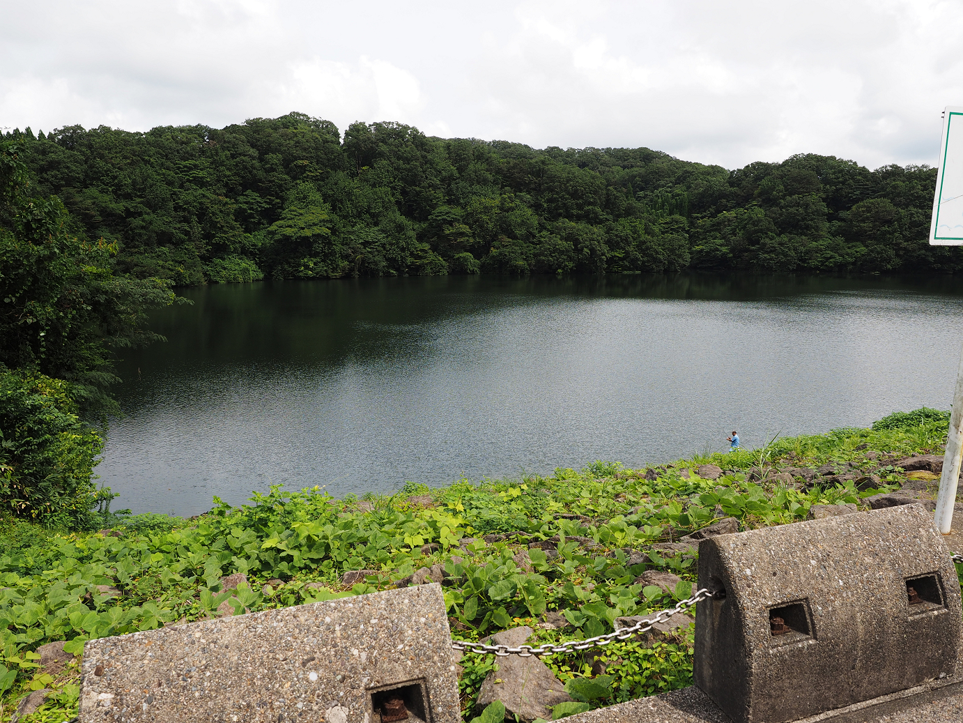 P9150079.jpg