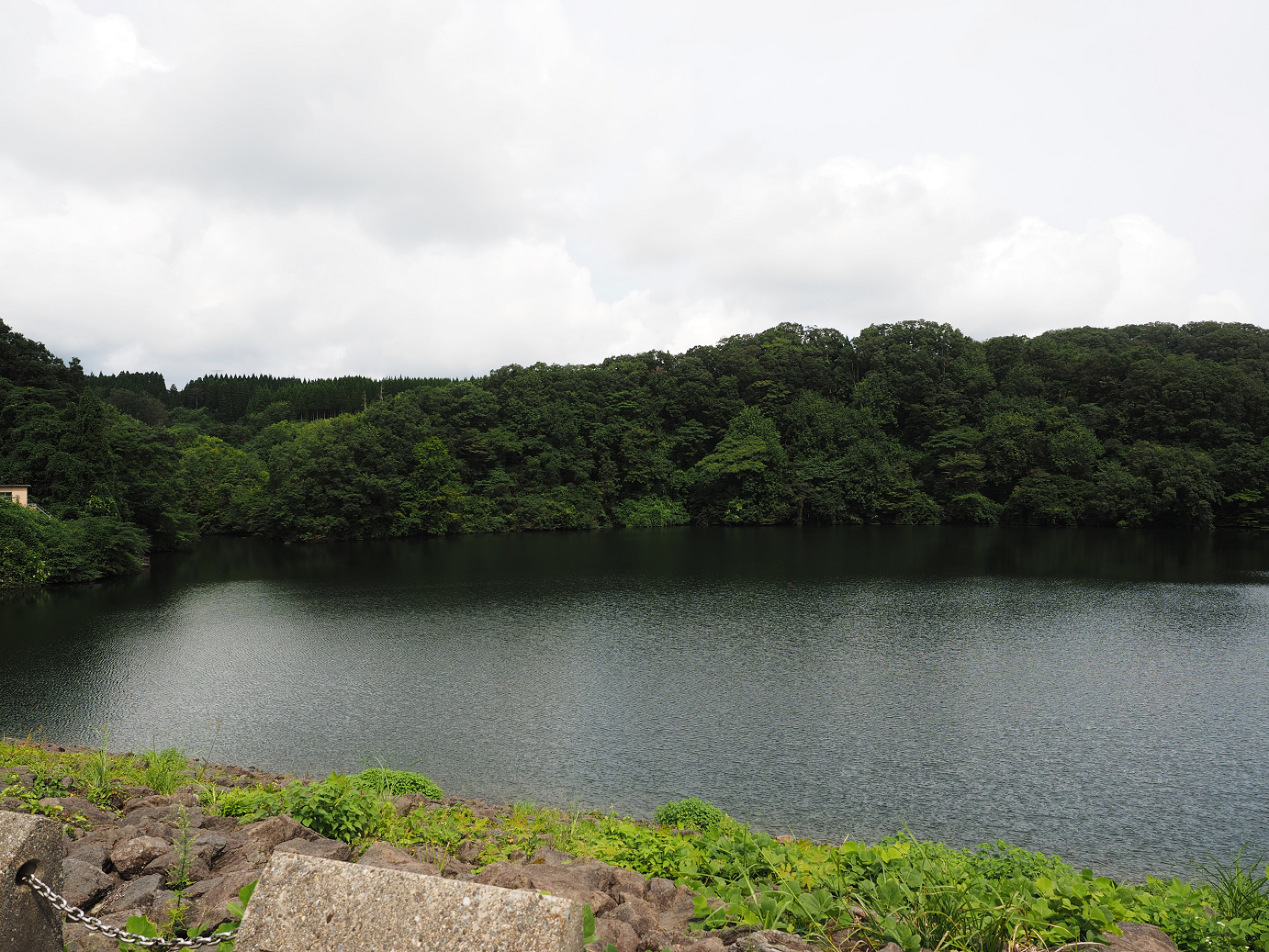 P9150080.jpg