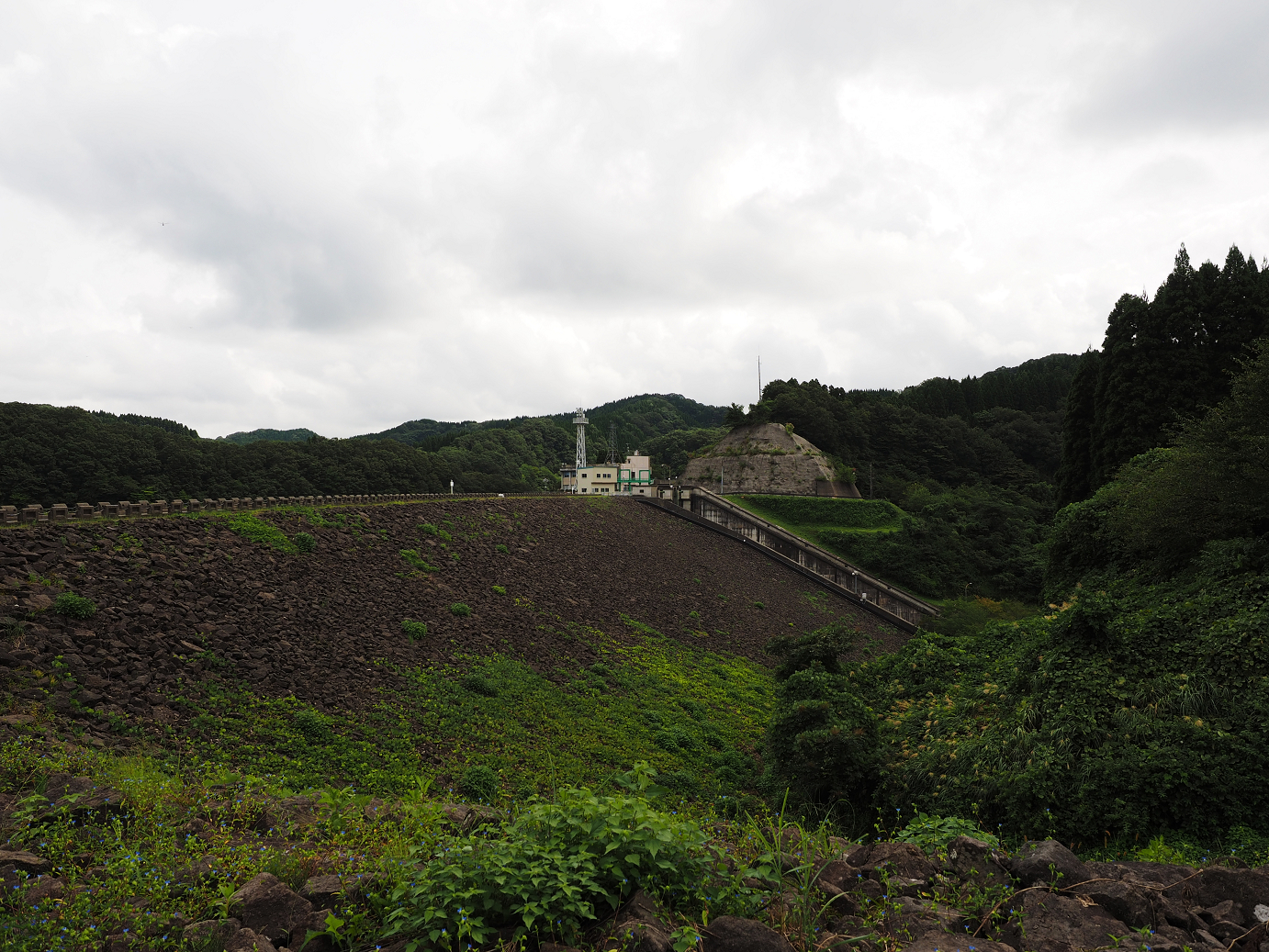 P9150099.jpg