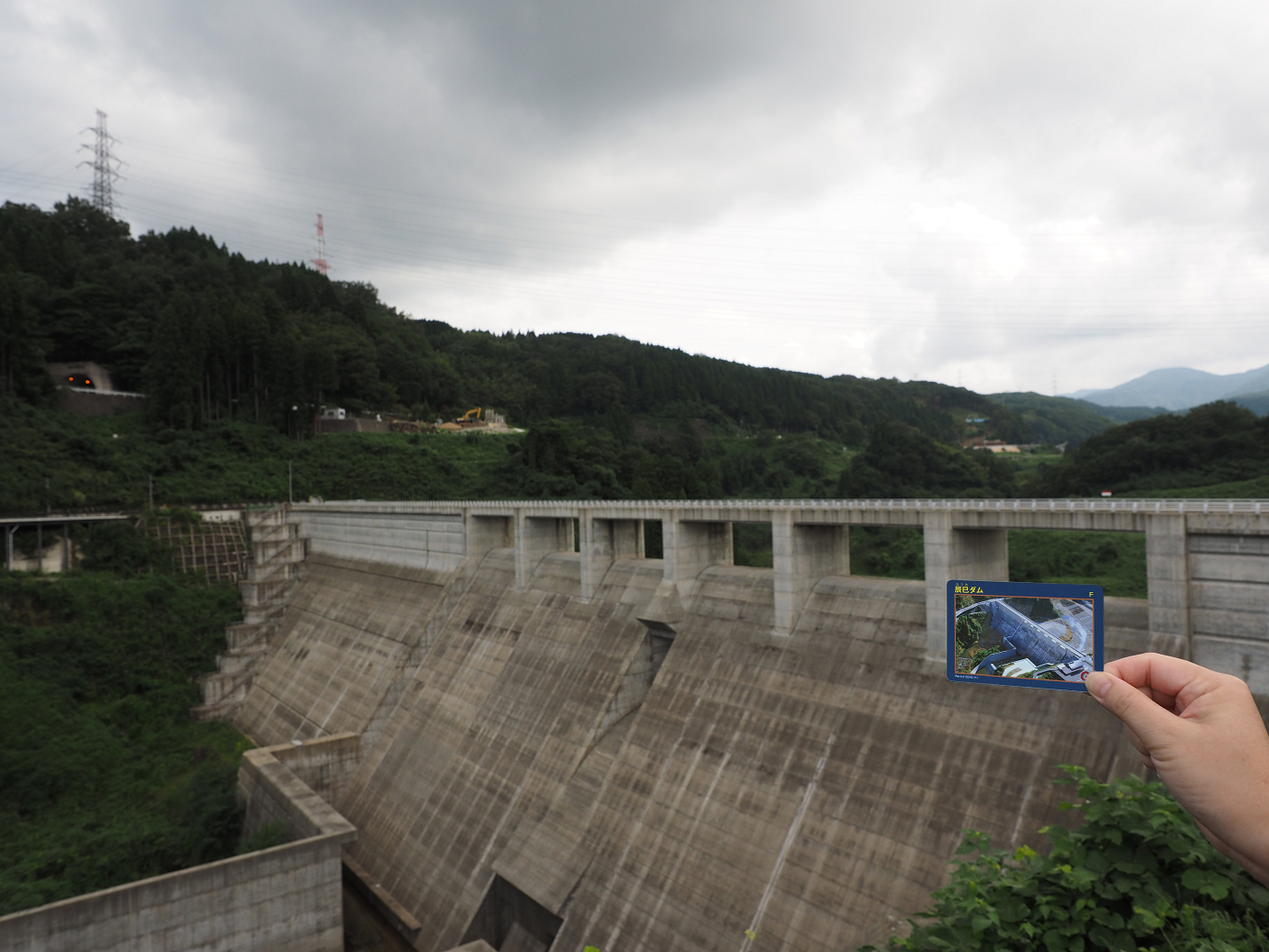 P9150108.jpg
