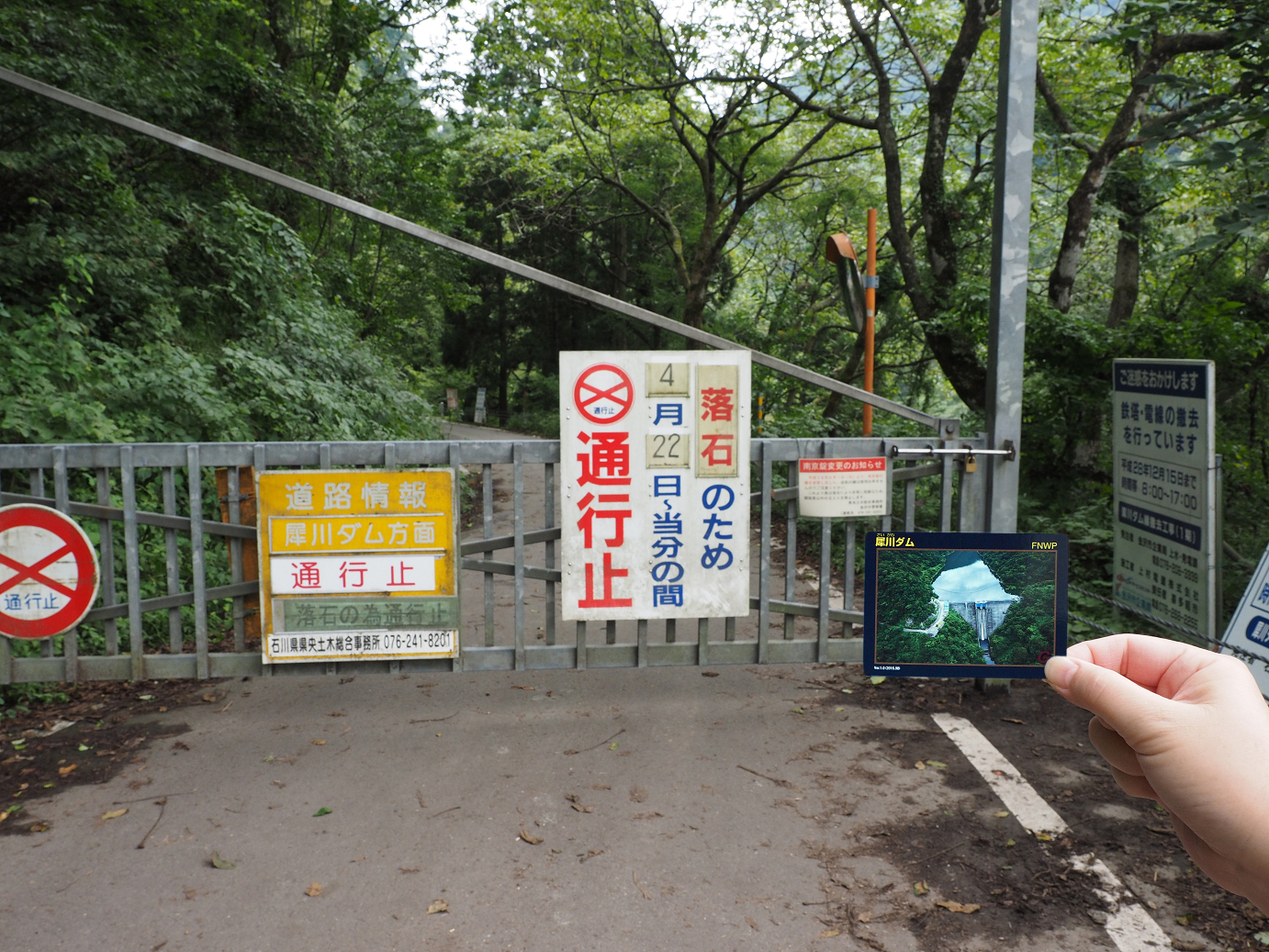 P9150115.jpg