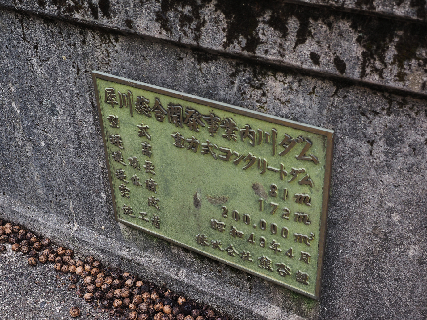 P9150125.jpg