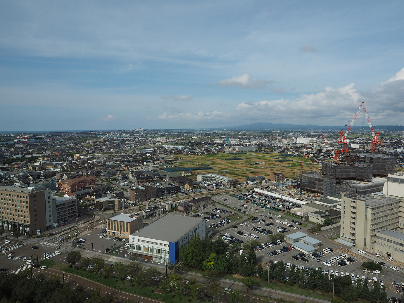 P9150137.jpg