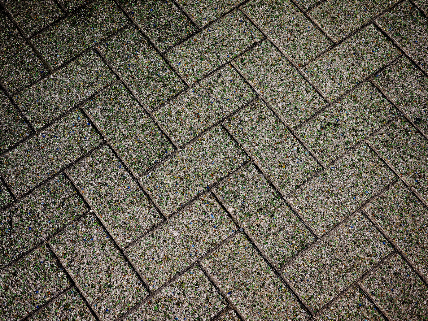 P9150156.jpg